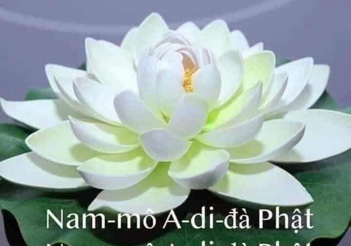 KÊU GỌI KINH PHÍ CHÔN CẤT THAI NHI VÔ TỘI