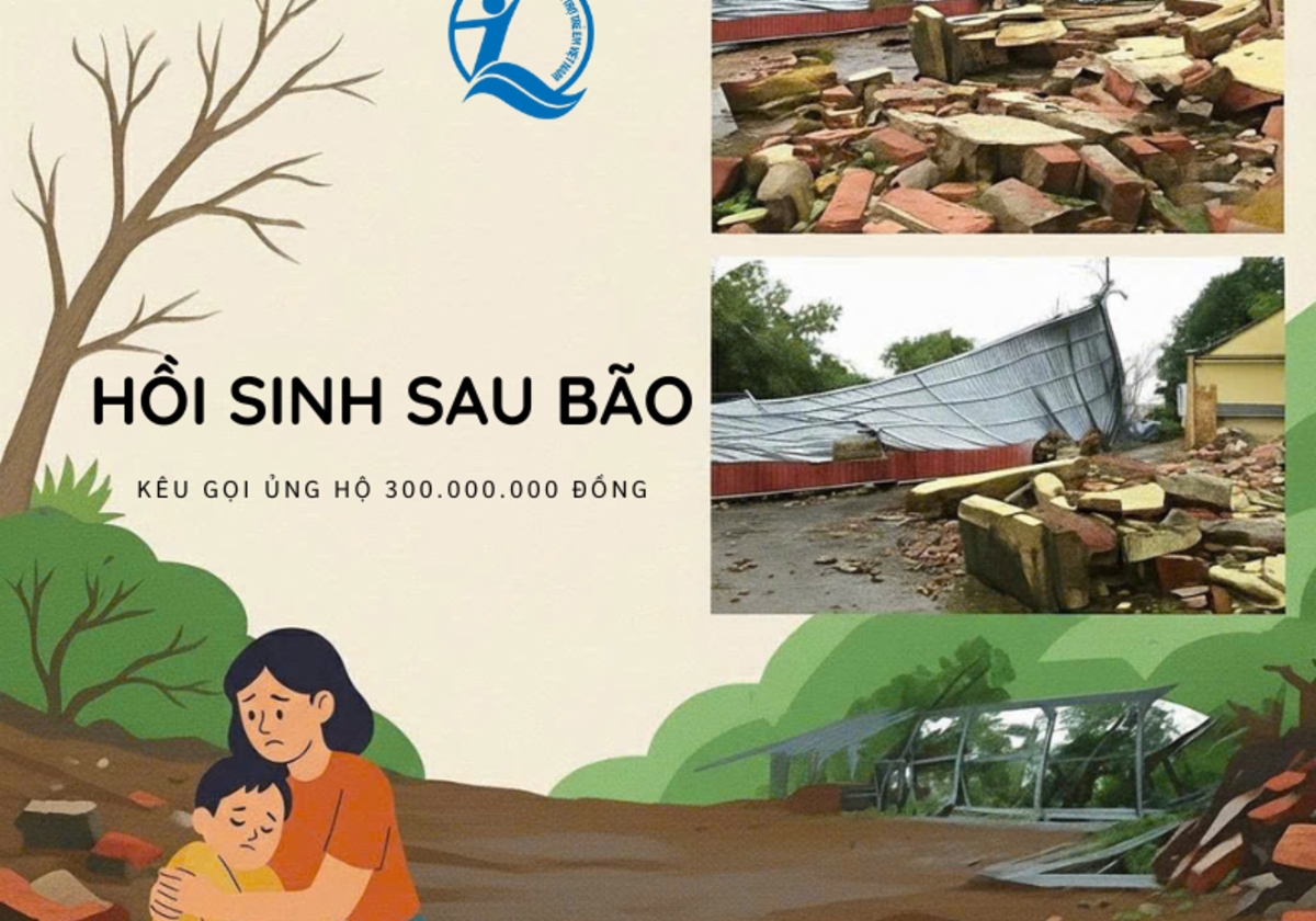 Hồi sinh sau bão