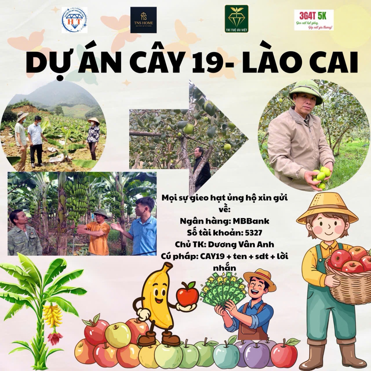 ☘️Việt Nam Xanh 19 - Dự án trồng cây Chuối tiêu hồng và Táo đại mật cho người dân Lào Cai