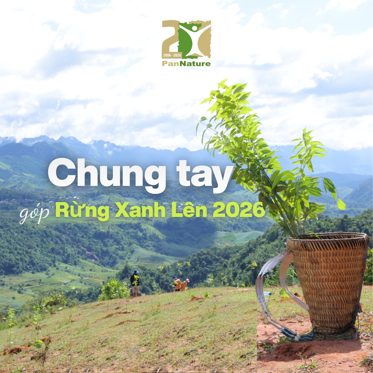 GÓP 6.000 CÂY CHO RỪNG XANH LÊN 2026 - PHỤC HỒI CÁNH RỪNG TẠI TÂY BẮC VÀ TÂY NGUYÊN